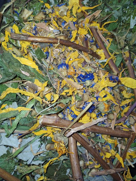 247617668_2985081835136112_8795152337912599755_n