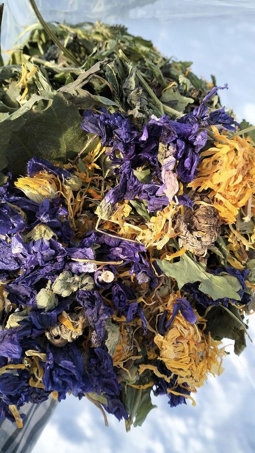 418451202_122155769894018235_2895522416977381777_n