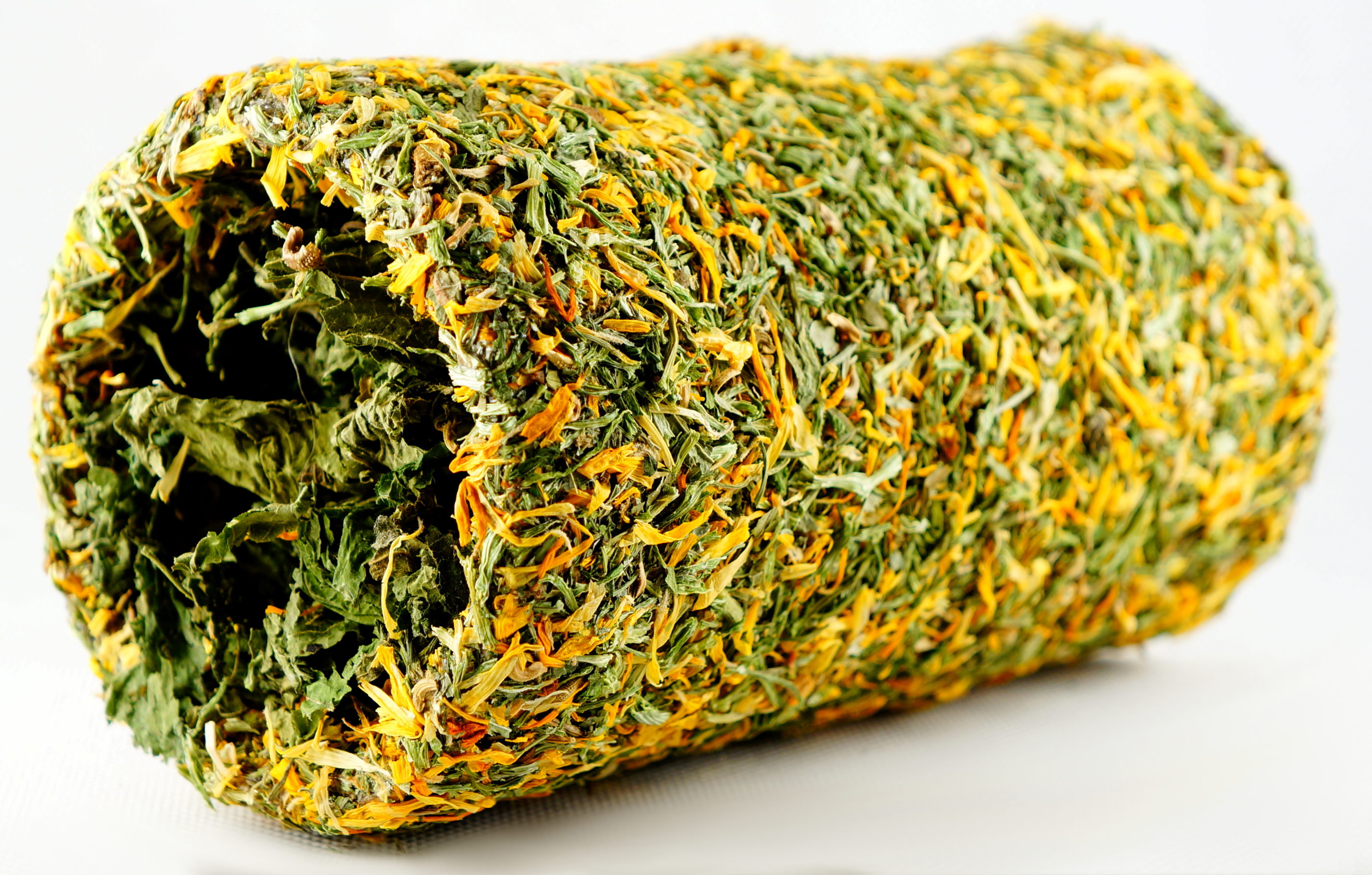 DSC00286-e1484567077142